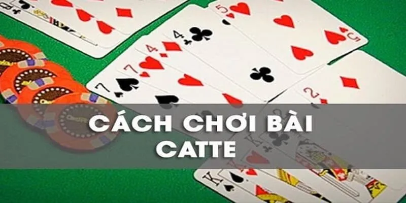 trinh-tu-van-bai-catte-sumclub-ro-rang